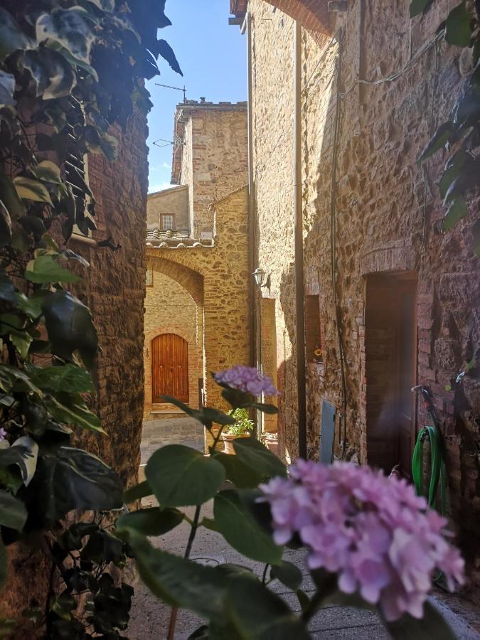 Antico Borgo Di Torri Bed & Breakfast Sovicille Bagian luar foto