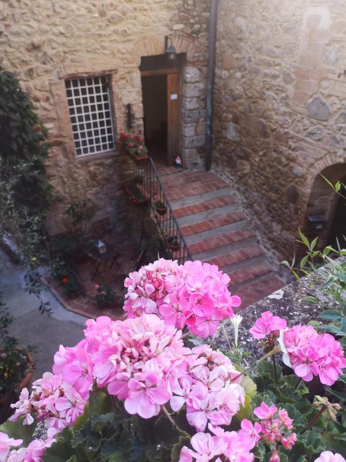 Antico Borgo Di Torri Bed & Breakfast Sovicille Bagian luar foto